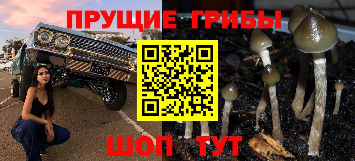 Псилоцибиновые грибы Psilocybe  Псилоцибиновые грибы MAGIC MUSHROOMS  Менделеевск  Вход с VPN 